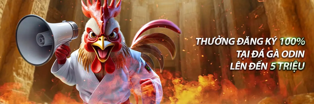 Hình ảnh đại diện cho Tuân thủ GDPR và bảo mật dữ liệu tại 5sao trang chủ chính thức