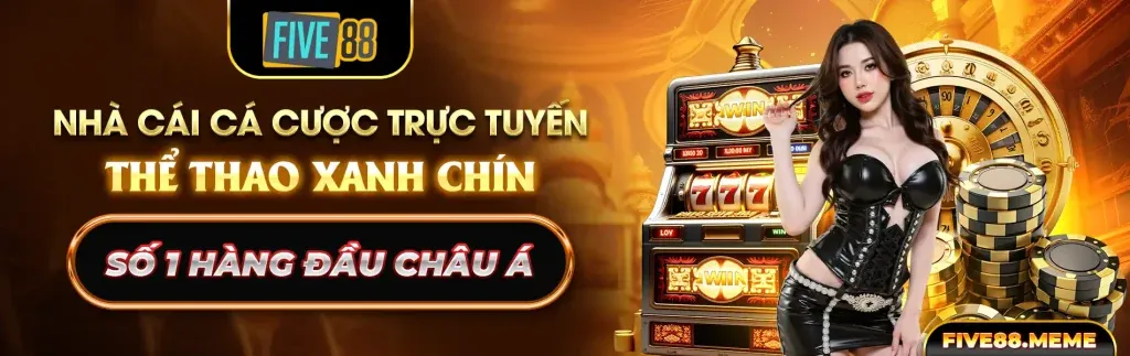 Tổng quan Điều Khoản Dịch Vụ và giới hạn trách nhiệm tại 5sao